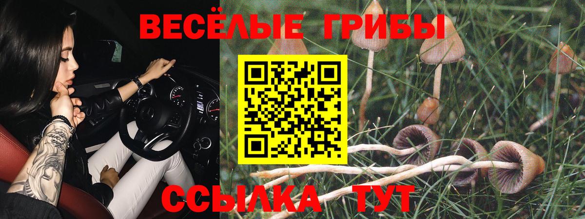 Мелеуз  Псилоцибиновые грибы Cubensis  Вход с VPN 